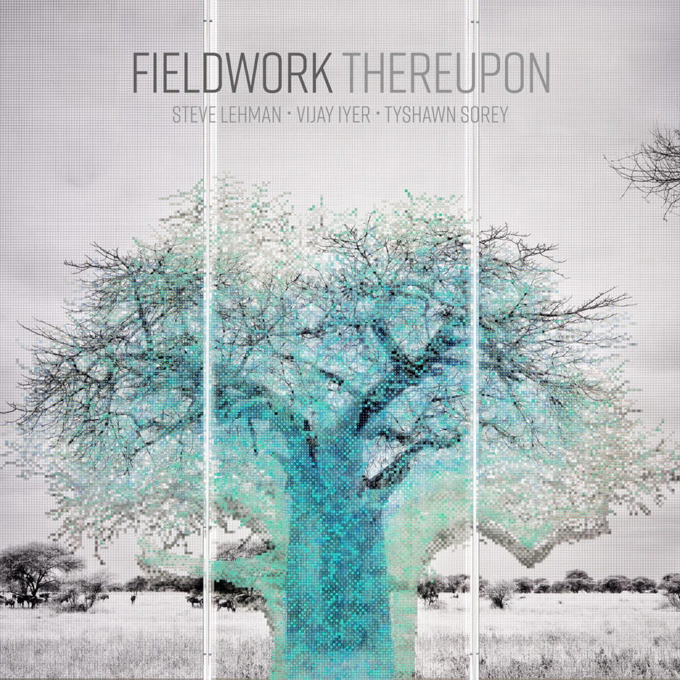 album cover image with painting by Charles Gaines